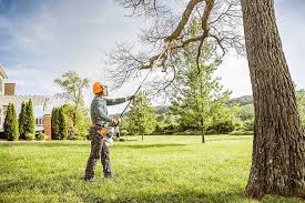 Best Tree Trimming and Pruning  in Washington Mills, NY